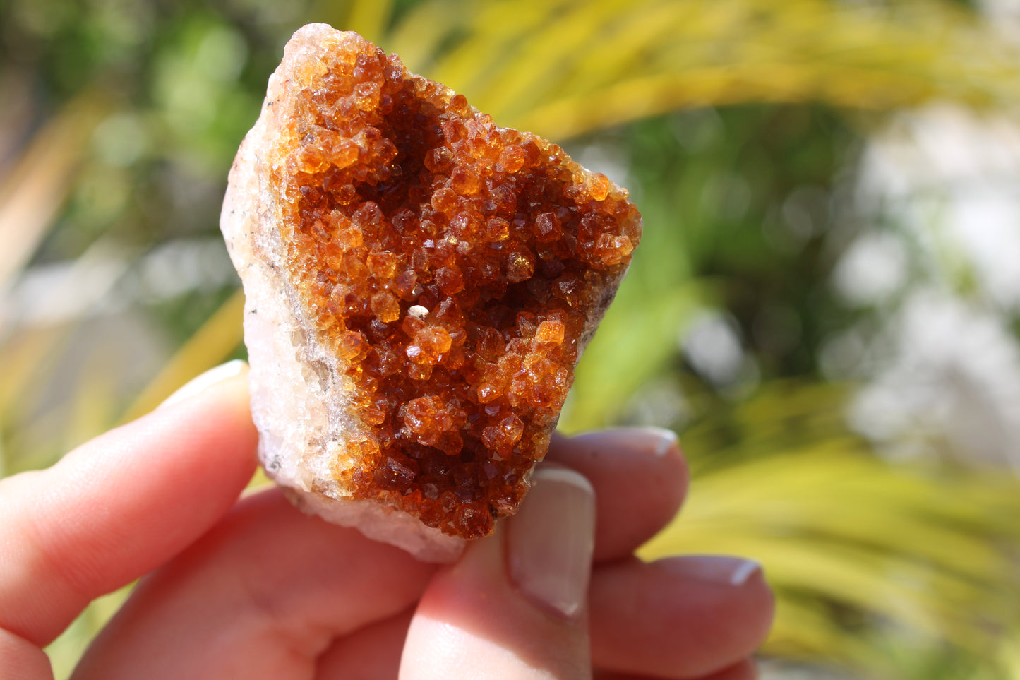 Citrine raw geode