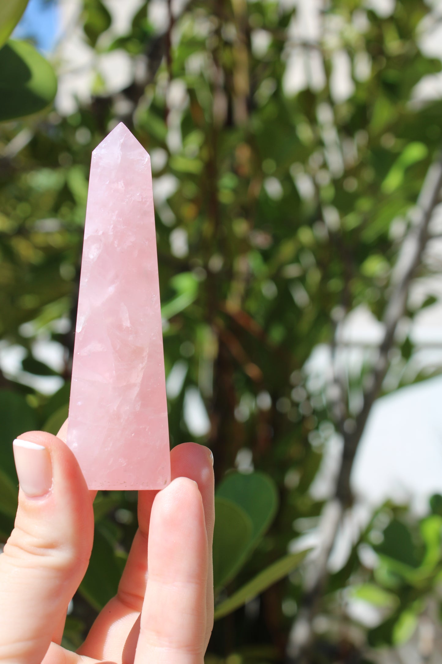 Point rose quartz crystal