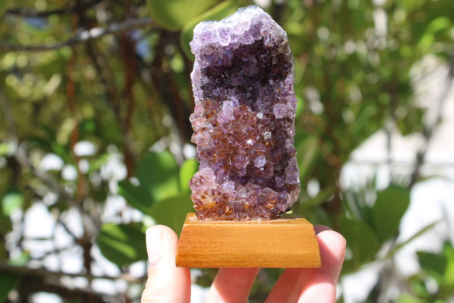 Raw Amethyst geode on wooden display