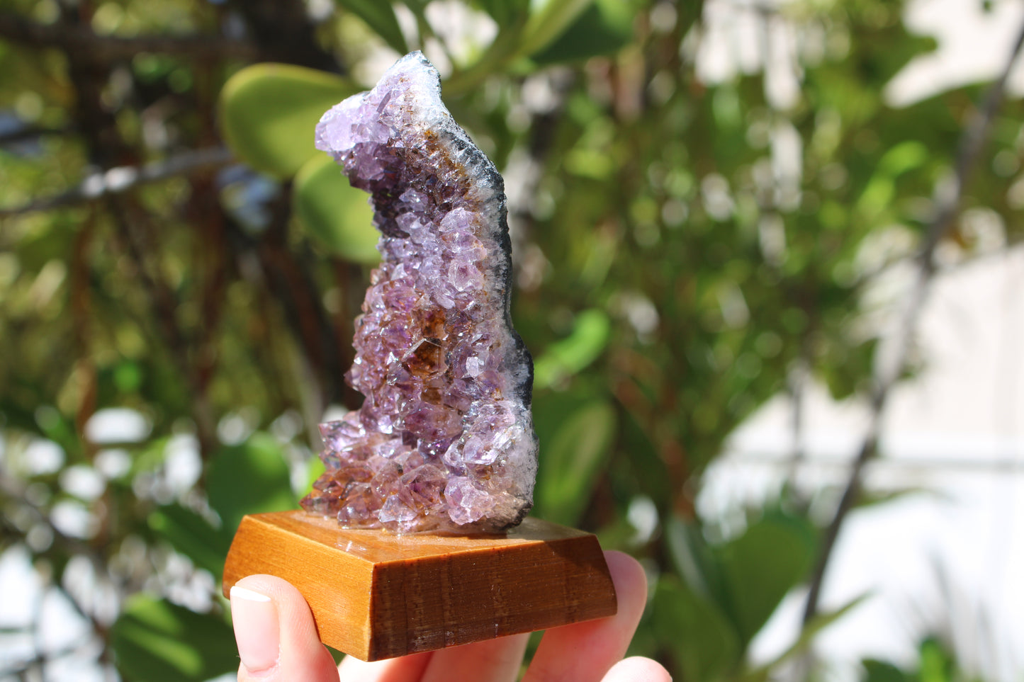 Raw Amethyst geode on wooden display