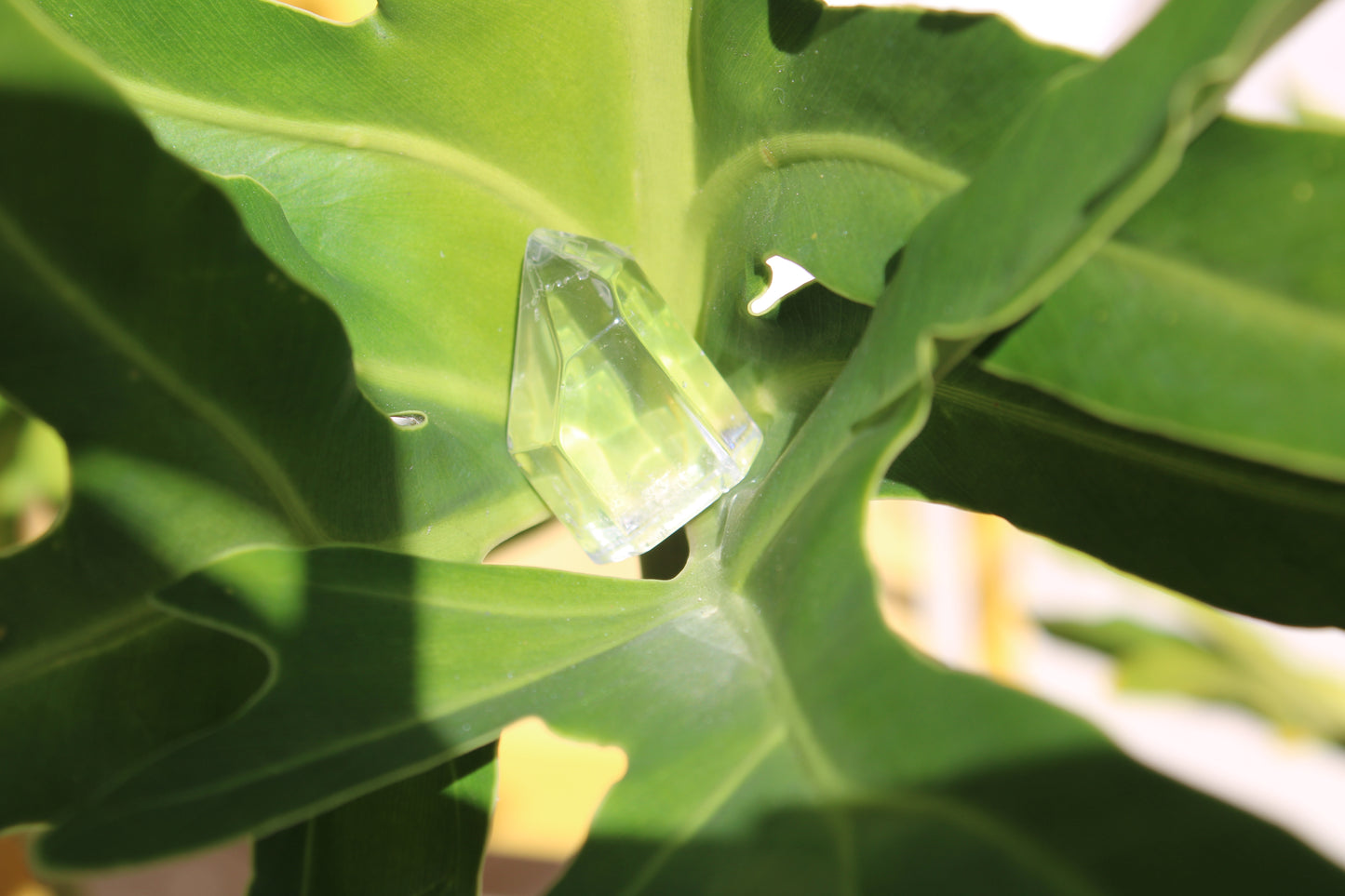 Tiny Clear Quartz Point Crystal