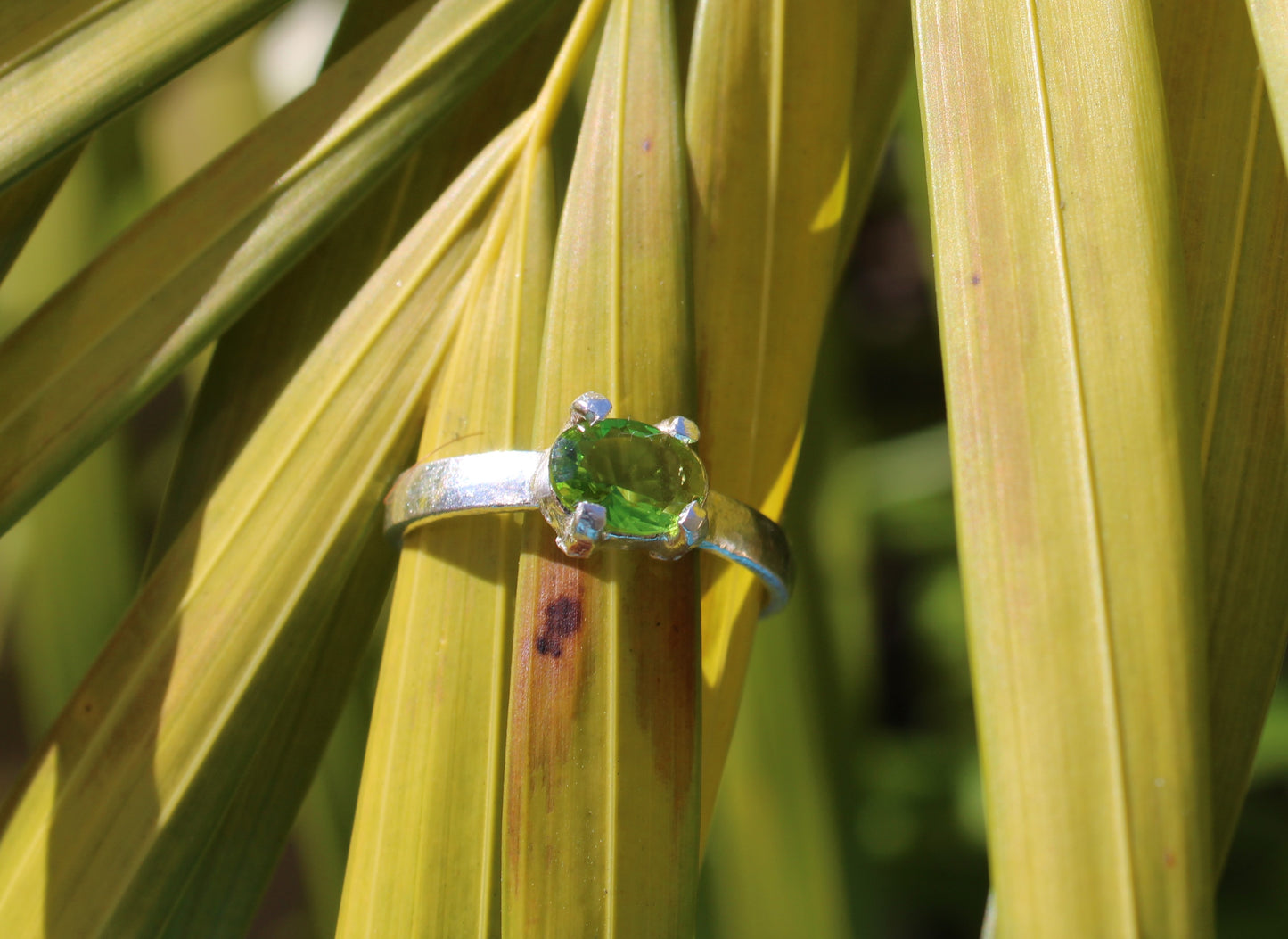 Simple stone rings