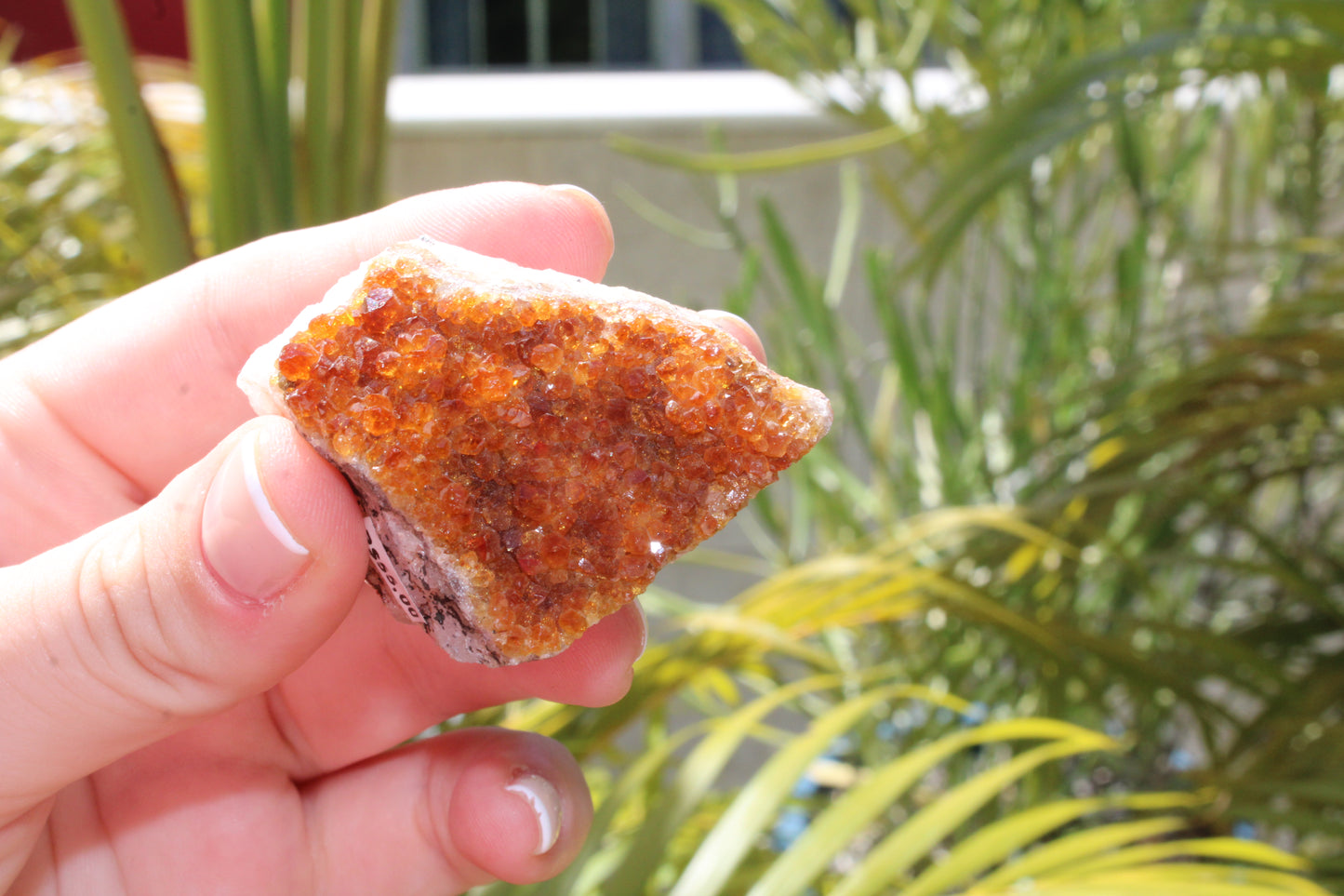 Citrine raw geode