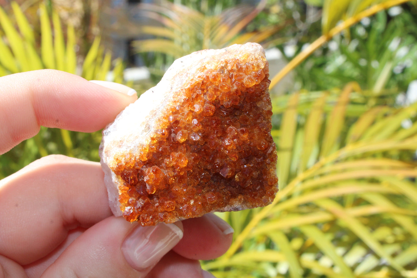 Citrine raw geode