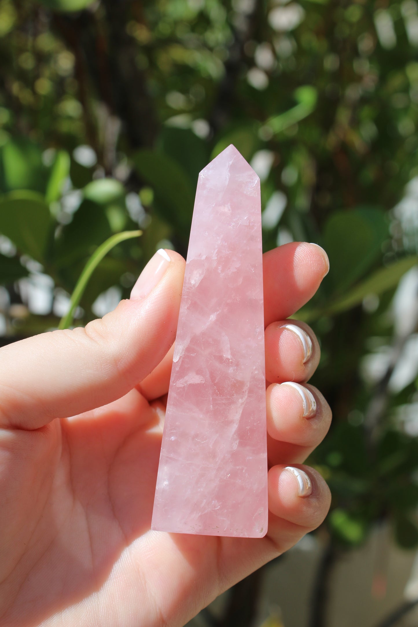 Point rose quartz crystal