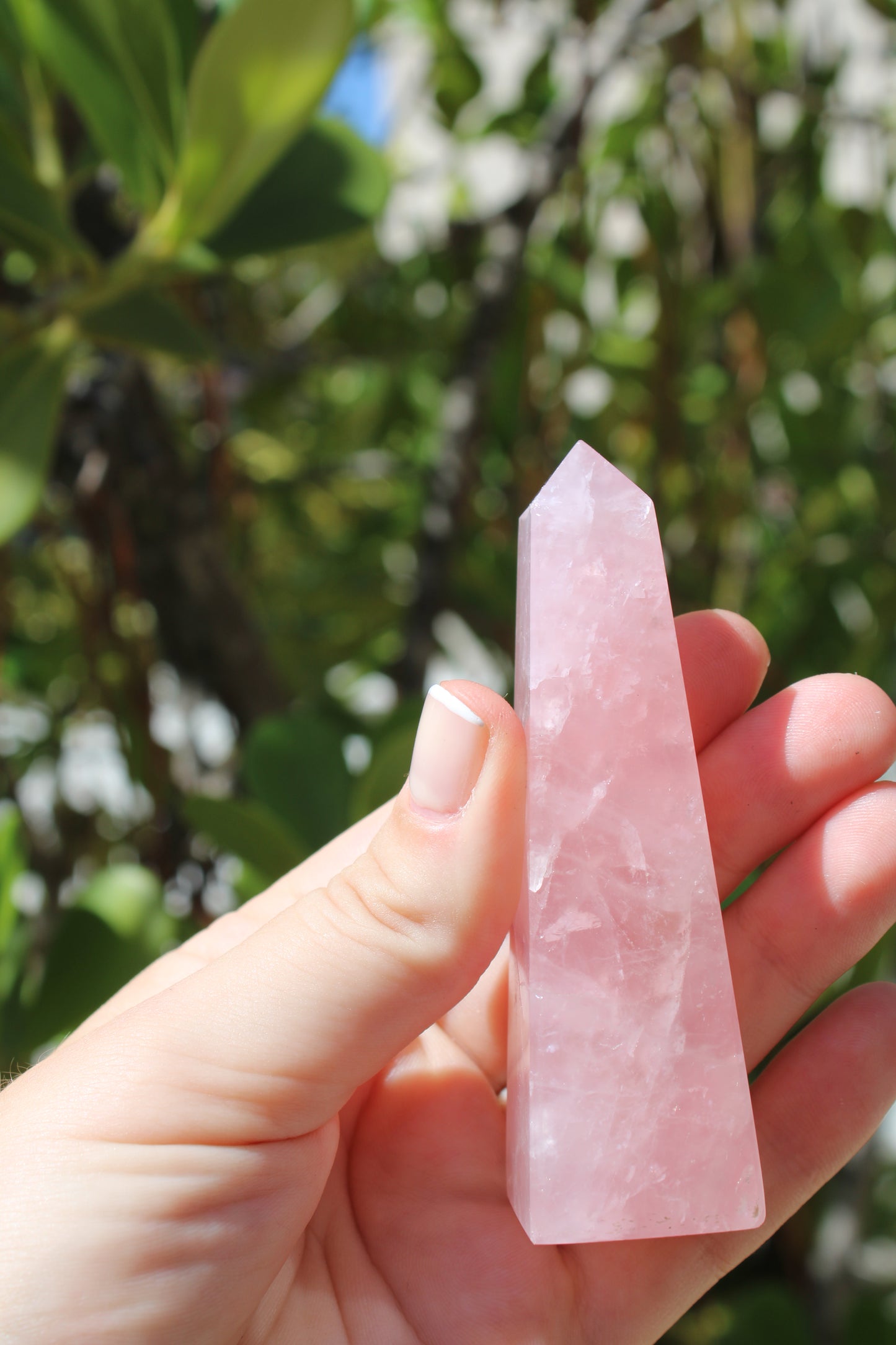 Point rose quartz crystal