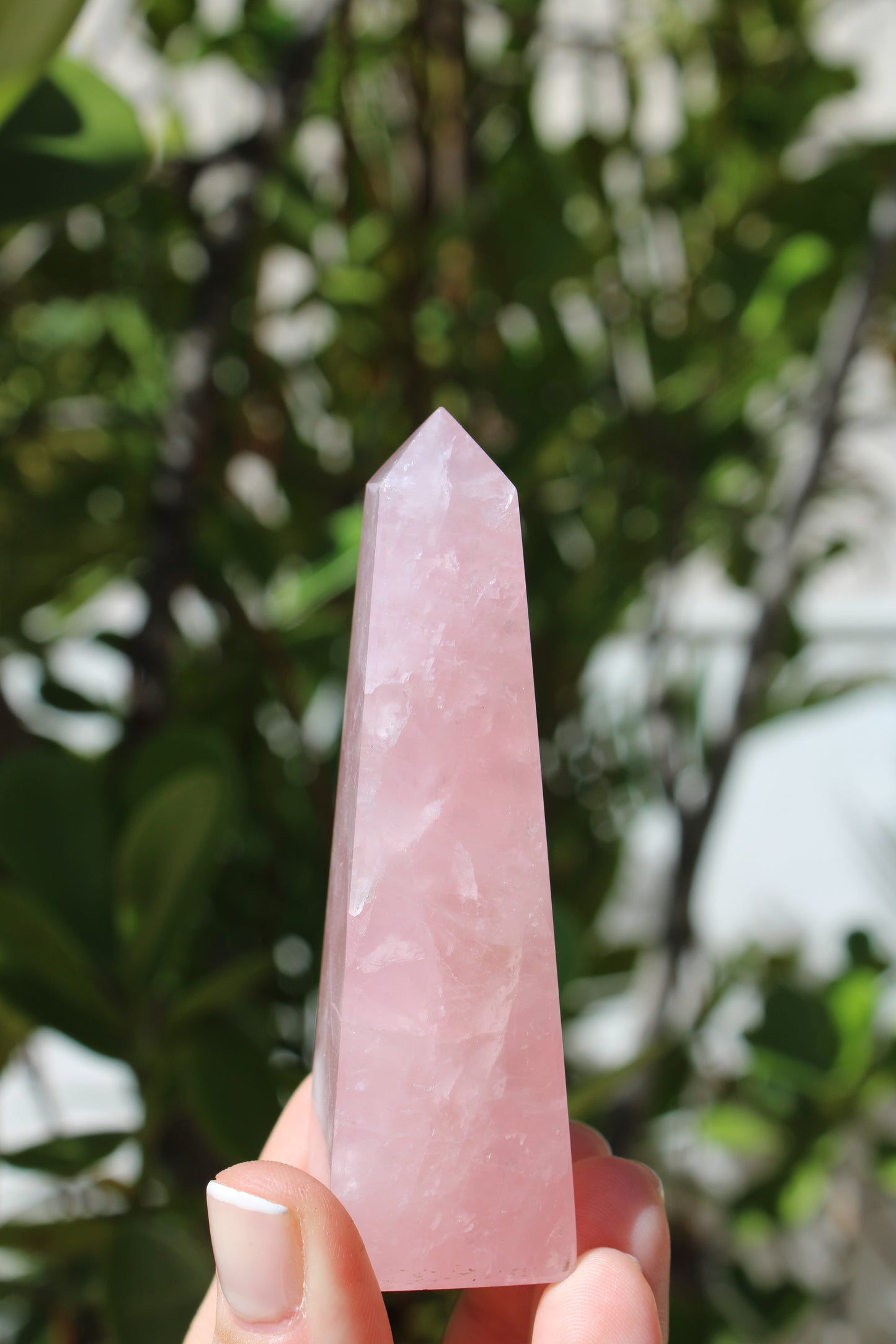 Point rose quartz crystal