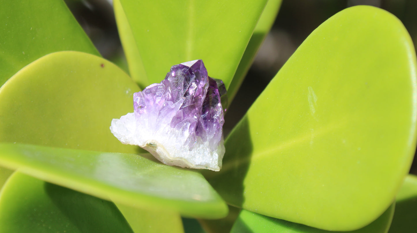 Citrine or Amethyst tiny geode