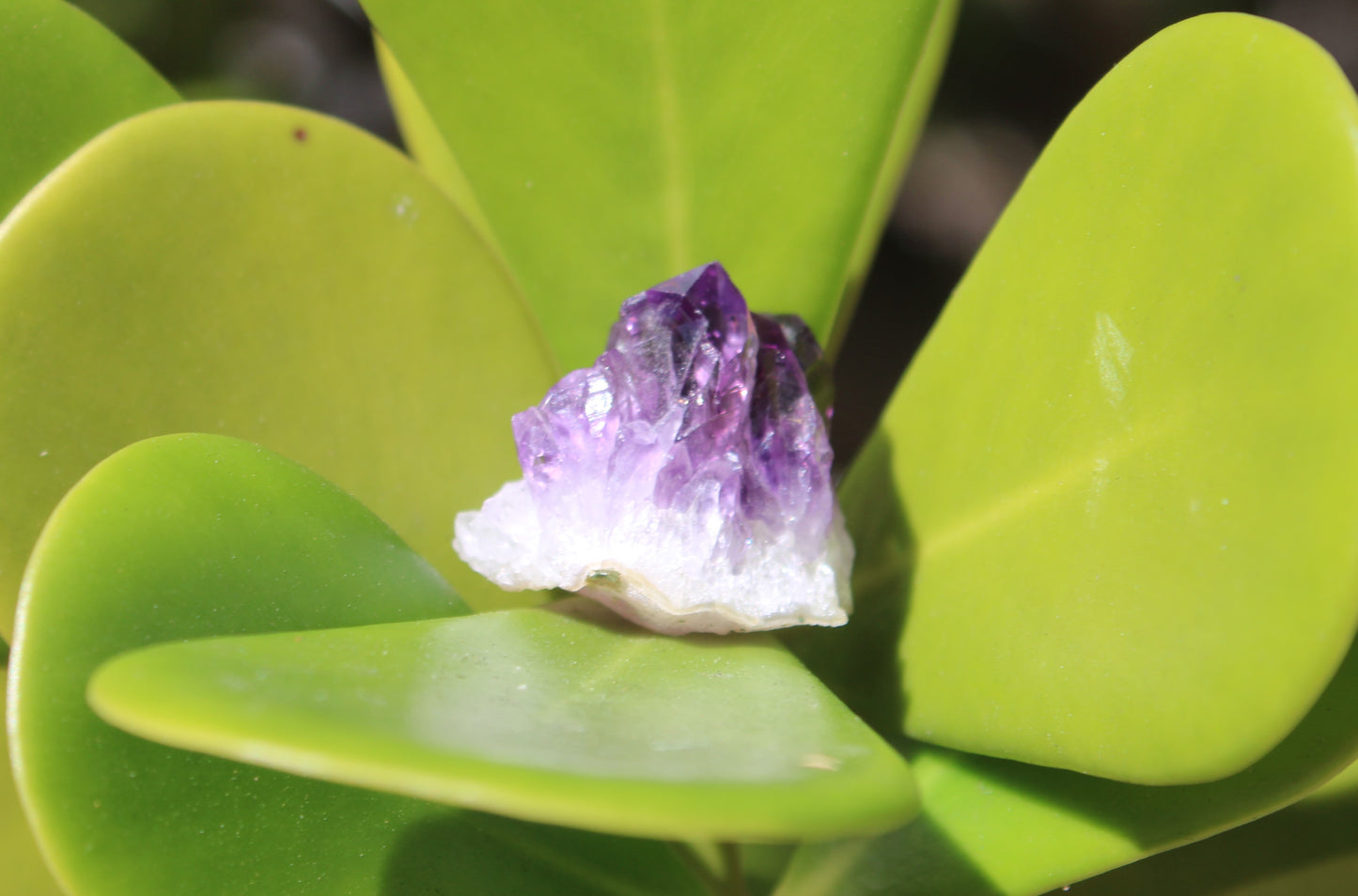 Citrine or Amethyst tiny geode