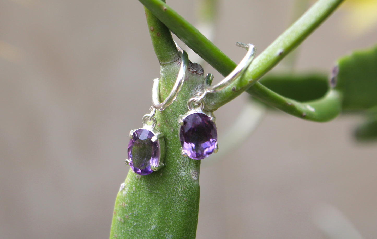 c-hoop amethyst earring