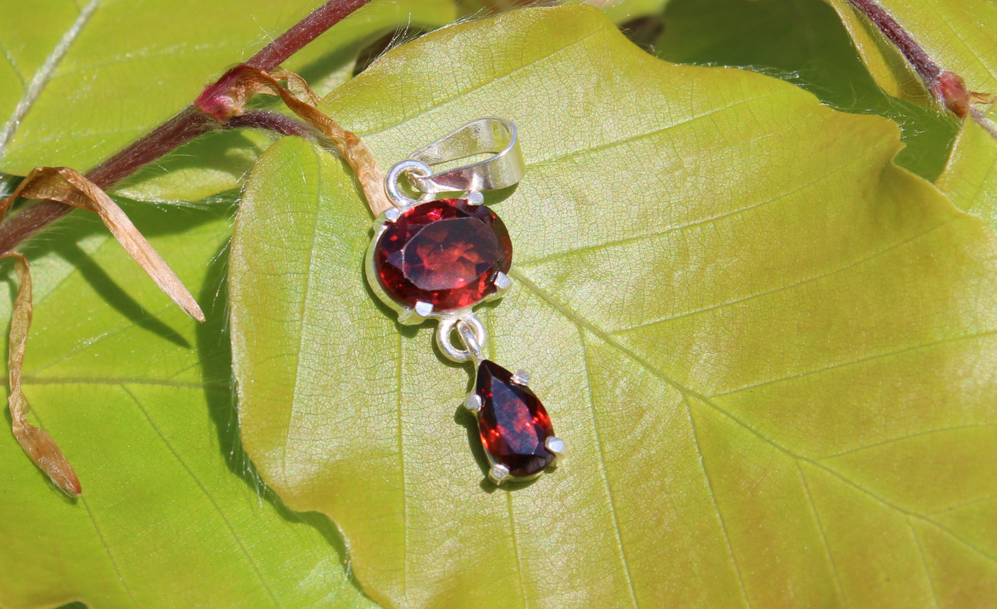 Dou Garnet Pendant